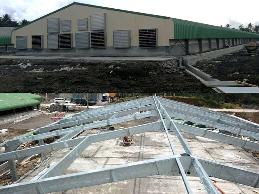 Steel Structure Poultry House 