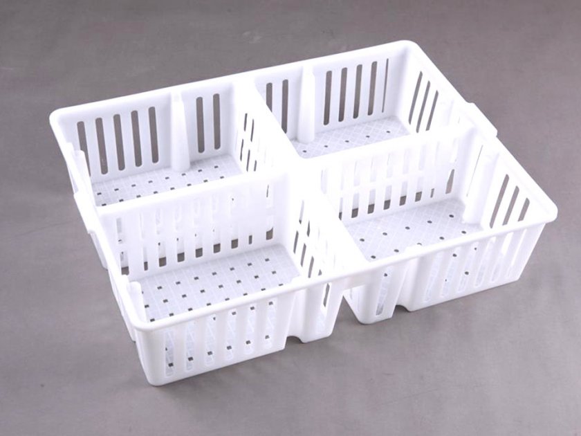 Baby chicken transfer box