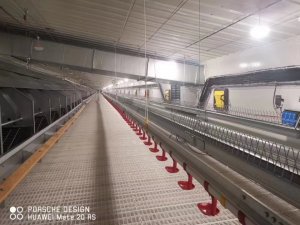 Automatic poultry farm equipment